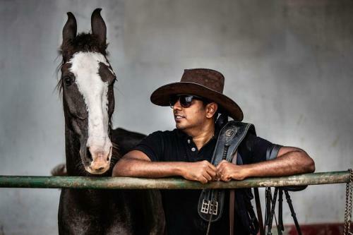 Kings Farm Horse Riding School