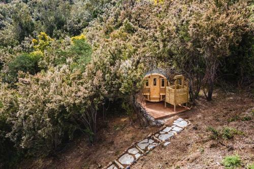 Villa El Pino Centenario 3 Con Sauna