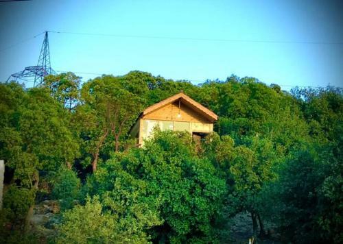 Ajloun Wooden Huts ????? ????? ??????? Live Amid Nature