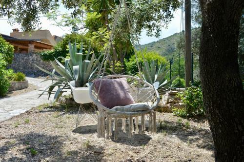 Apartamento Casa Jiby