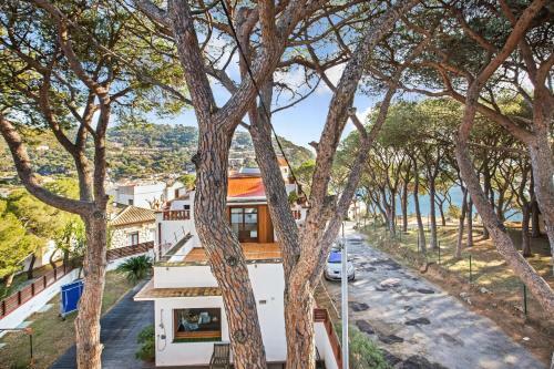 Apartamento Ancora 05