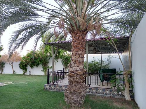 Apartamento Juman B&B