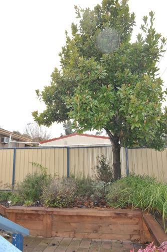 Bed & Breakfast The Pommy Tree