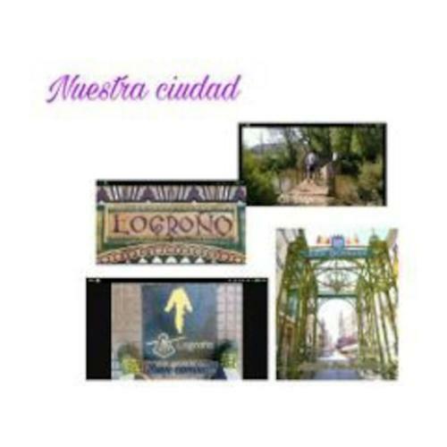 Apartamento �tico Con Encanto En El Centro de Logro�o