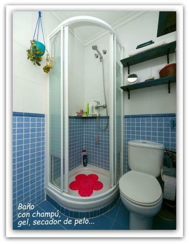 Apartamento �tico Con Encanto En El Centro de Logro�o