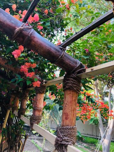 Lodge Nizwa Garden Suite