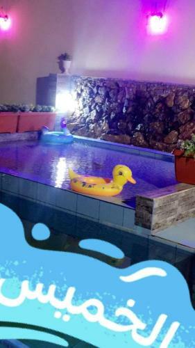????? ???? ?????