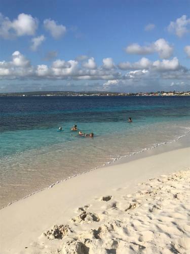 Apartamento Oceanfront Condo With Pool,breathtaking View, Wifi