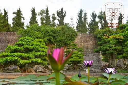 Albergue Bagua House - Homestay