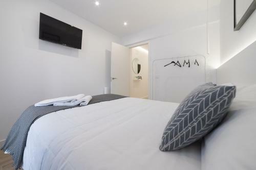 Apartamento Ayuntamiento Av de La Paz