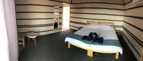 Wadi Rum Camp