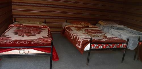 Hotel Bedouin Future Camp