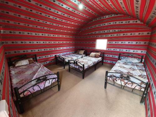 Bedouin Host Camp& With Tour