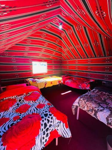 Bedouin Host Camp& With Tour