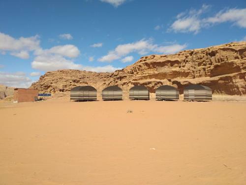 Bedouin Host Camp& With Tour