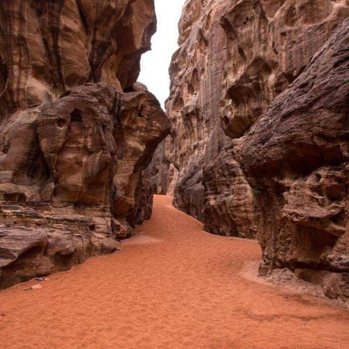 Wadi Rum Echo Camp