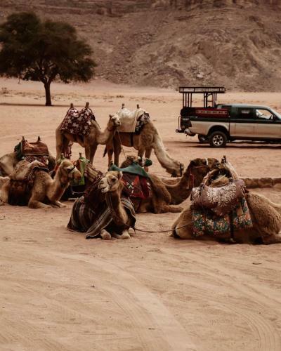 Wadi Rum Echo Camp