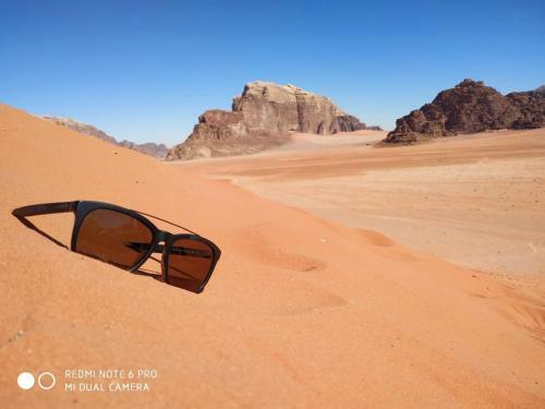 Wadi Rum Nature Guide