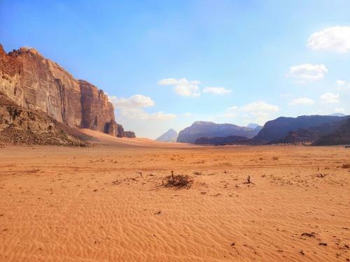 Desert Mars Camp & Tours