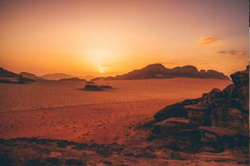 Desert Mars Camp & Tours