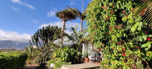 Apartamento Casas Ricardo