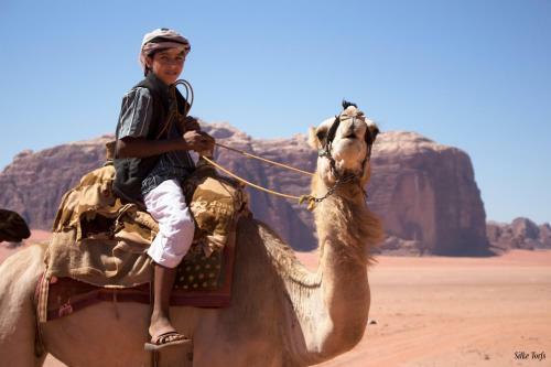 Sand And Stone Camp - Wadi Rum Desert