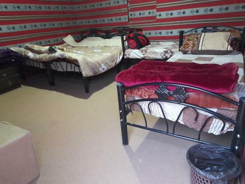 Wadi Rum Desert Experience
