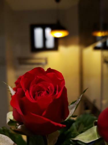 Bi�n H�a Hotel