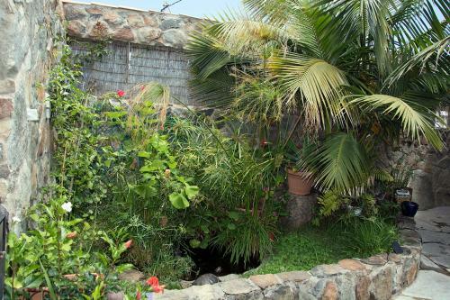 Casa El Drago