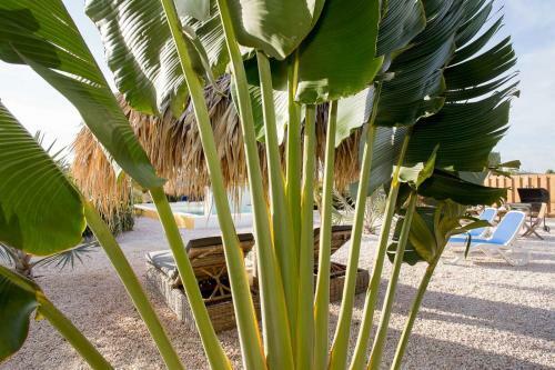 Apartamento Kas Tuna Sabalpalm Villas Bonaire