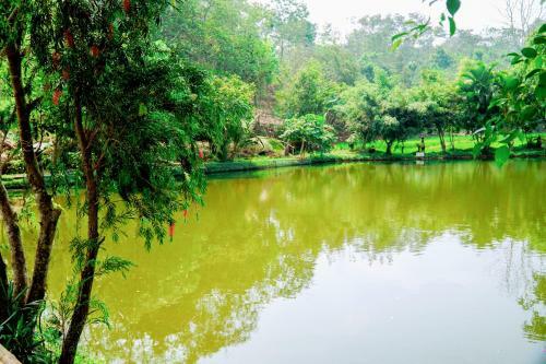Lodge Buon Ma Thuot Homestay