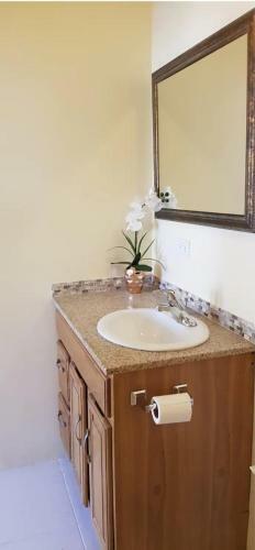 Apartamento Studio Sunshine