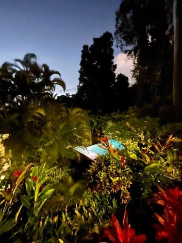 Les Jardins De L'esp�rance