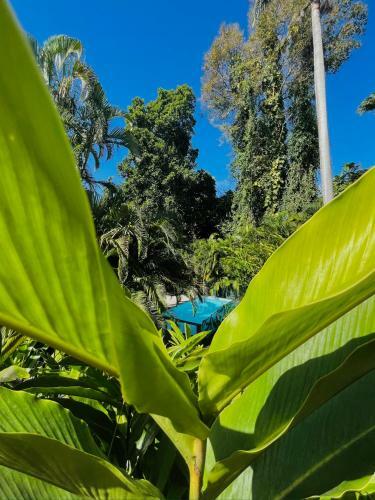 Les Jardins De L'esp�rance