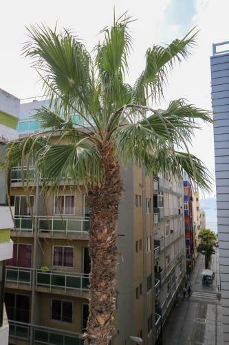 Comfortable New Apartment Next To The Las Canteras Beach