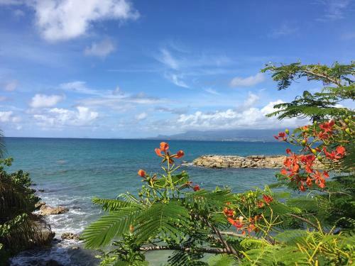 Apartamento Residence La Vieilletour Studio Les P�licans