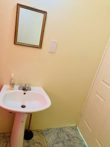 Apartamento Sea View Comfortable Island Home Fully Vaccinated Guest Only