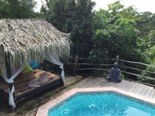 Hostal Racoon Lodge