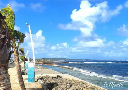 Apartamento Le Rep�re Du Lion : Appartement de Standing