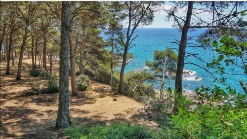 Apartamentos Beach&pool, 365 Days Open In Fenals Beach