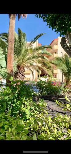 Apartamento Los Angeles, Los Cristianos