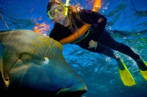 Reefsleep