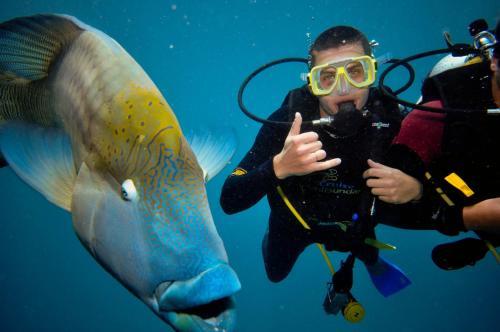 Reefsleep