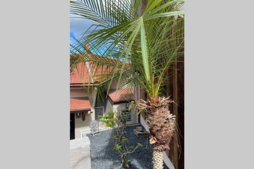 Villa Bel'vue, Ambiance Et Style Tropic Chic