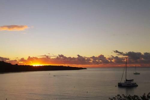 Villa Bel'vue, Ambiance Et Style Tropic Chic