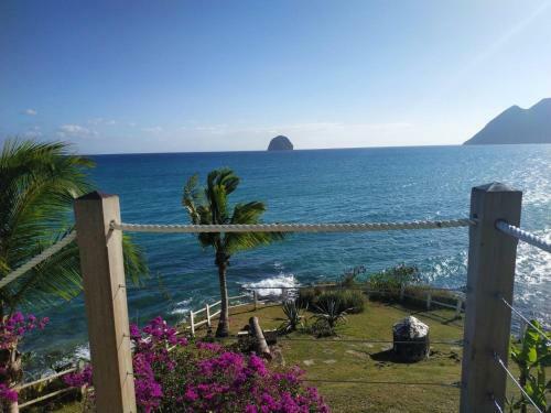 Apartamento S�jour � La Canonni�re