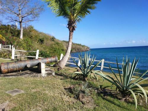 Apartamento S�jour � La Canonni�re