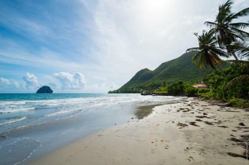 Villa Les Amandiers 4 Chambres Face � La Mer!