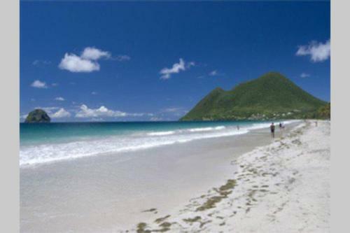 Apartamento Charmant Studio �quip� Climatis� 100m Plage Du Diamant