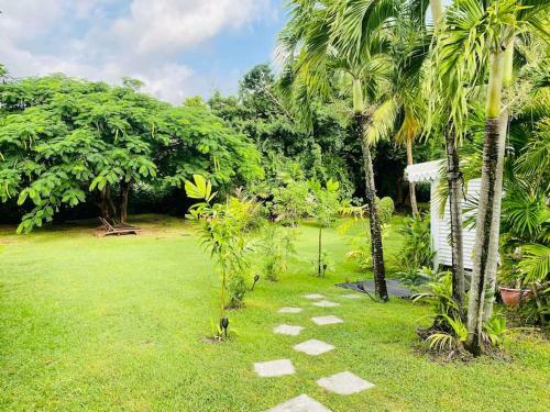 Splendide Bungalow En Bois Avec Jacuzzi Dans Un Parc Tropical